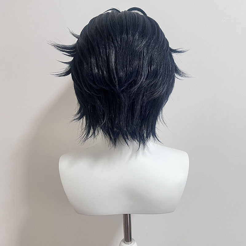 【スタイリング済みウィッグ】朝巴春馬 コスプレウィッグ ZZ - Anime Cosplay Wigs のレビューと価格